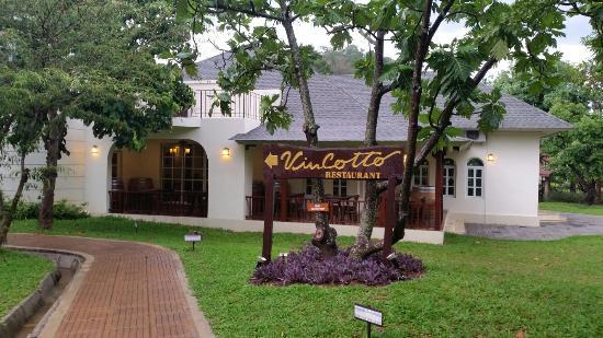 Vin Cotto Restaurant
